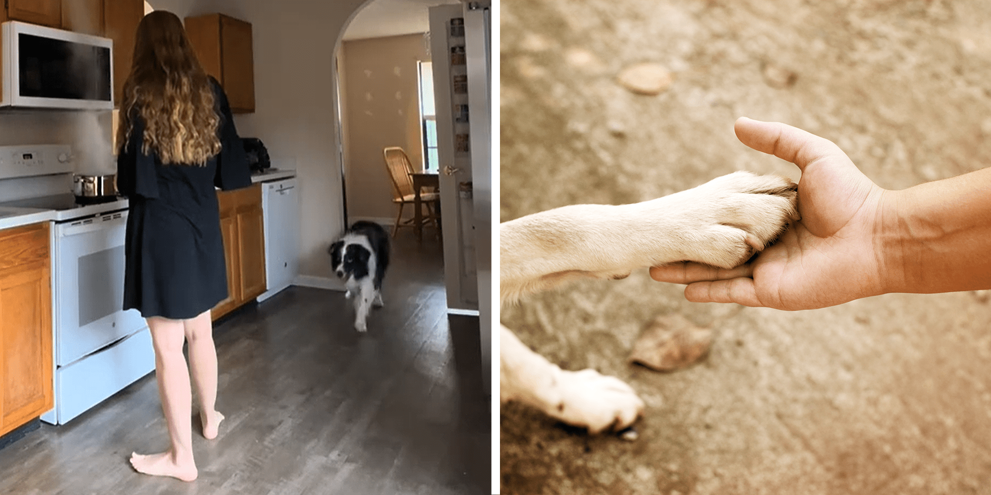 Woman standing besides stove in kitchen while dog is walking up to her on left. Dog paw in human hand on right.