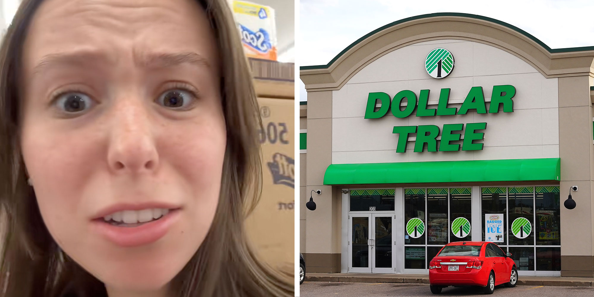 Screenshot of Tiktok user @ms.babyhands; Photo of a Dollar Tree exterior.