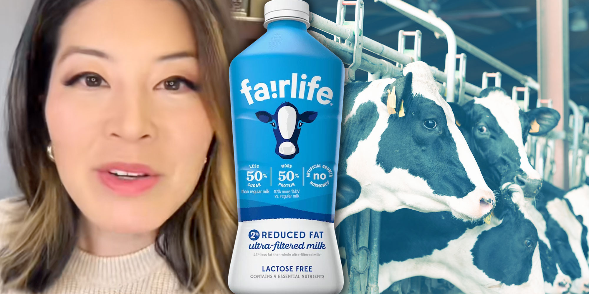 Screenshot of Tiktok user @thelawyerangela; Photo of a bottle of Fairlife Reduced Fat Milk; Photo of Dairy cows.