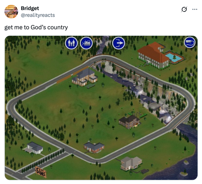 get me to gods country the sims