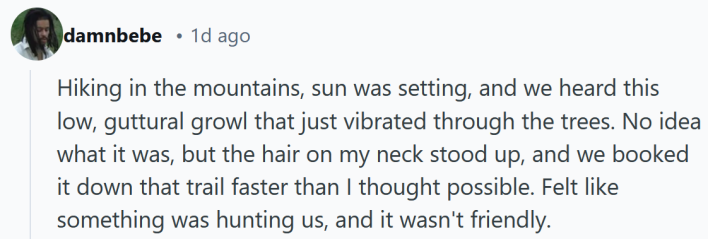 Reddit post reading "Hiking in the mountains, sun was setting, and we heard this low, guttural growl that just vibrated through the trees. No idea what it was, but the hair on my neck stood up, and we booked it down that trail faster than I thought possible. Felt like something was hunting us, and it wasn't friendly."