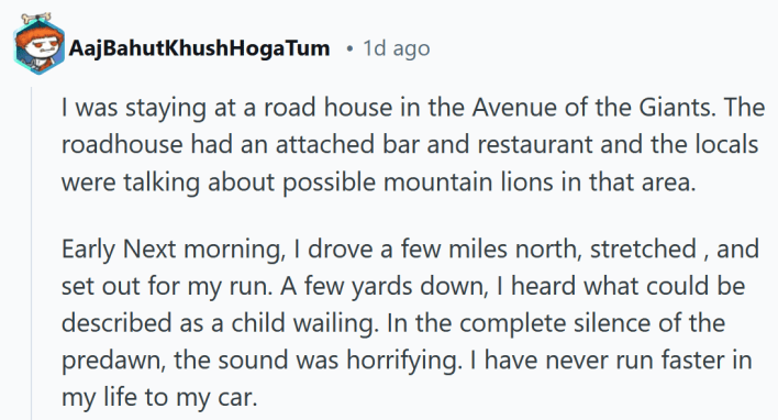 Reddit post reading "I was staying at a road house in the Avenue of the Giants. The roadhouse had an attached bar and restaurant and the locals were talking about possible mountain lions in that area. Early Next morning, I drove a few miles north, stretched , and set out for my run. A few yards down, I heard what could be described as a child wailing. In the complete silence of the predawn, the sound was horrifying. I have never run faster in my life to my car."