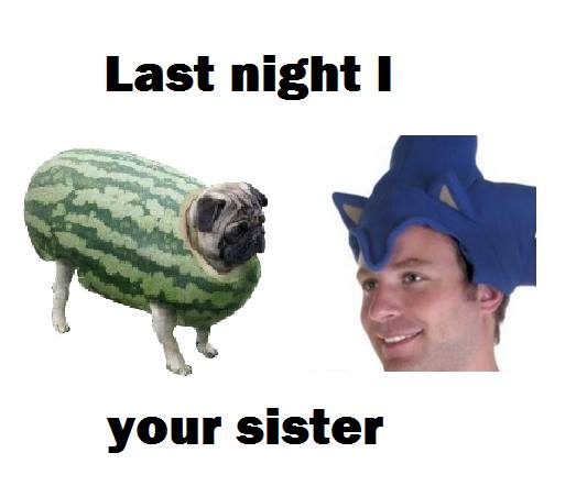 last night i pug watermelon cat hat your sister