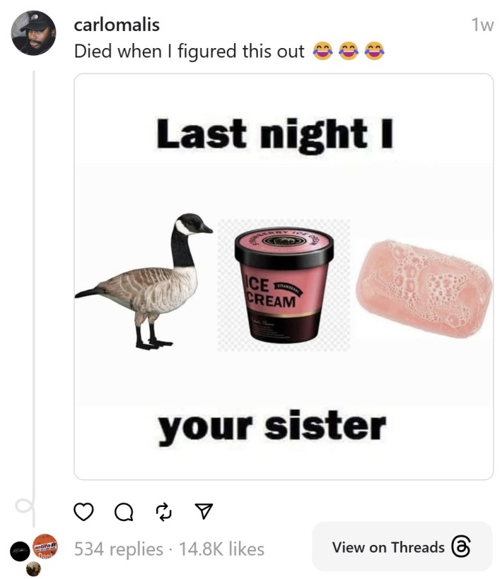 died when i figured this out last night i goose ice cream soap