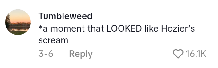 Hozier Yell TikTok comment, text reads, "*a moment that LOOKED like Hozier’s scream"