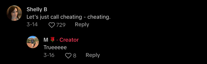 response to @beyondthebruise on Tiktok from user @msbeesting reads "Let's just call cheating - cheating."