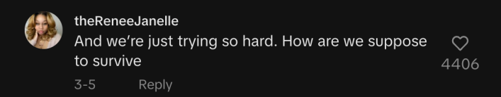 response to @amer.knight's Tiktok video from user @theReneeJanelle reads "and we're just trying so hard. how are we suppose to survive"