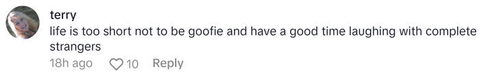 TikTok comment, text reads, "life is too short not to be goofie and have a good time laughing with complete strangers"