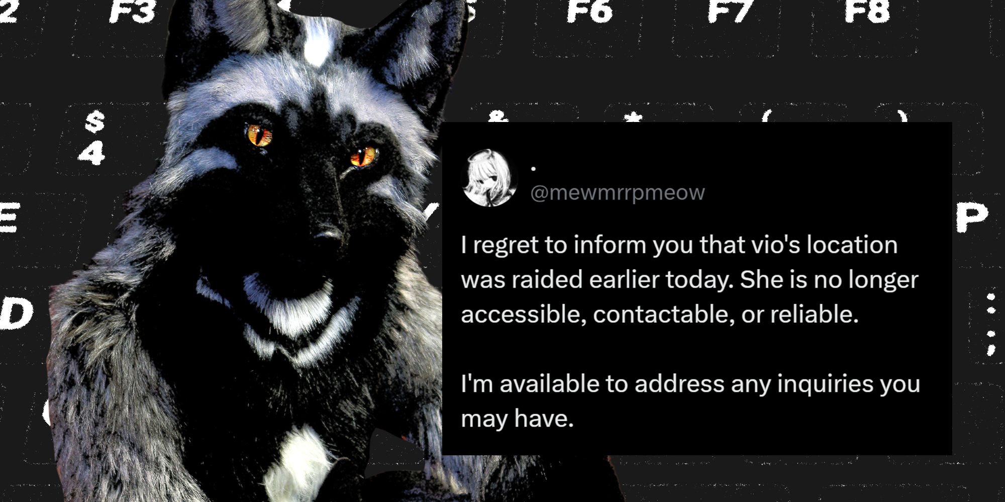 Wolf furry with keyboard in the background. Tweet overlayed that reads: "I regret to inform you that vio's location was raided earlier today. She is no longer accessible, contactable, or reliable. I'm available to address any inquiries you may have."