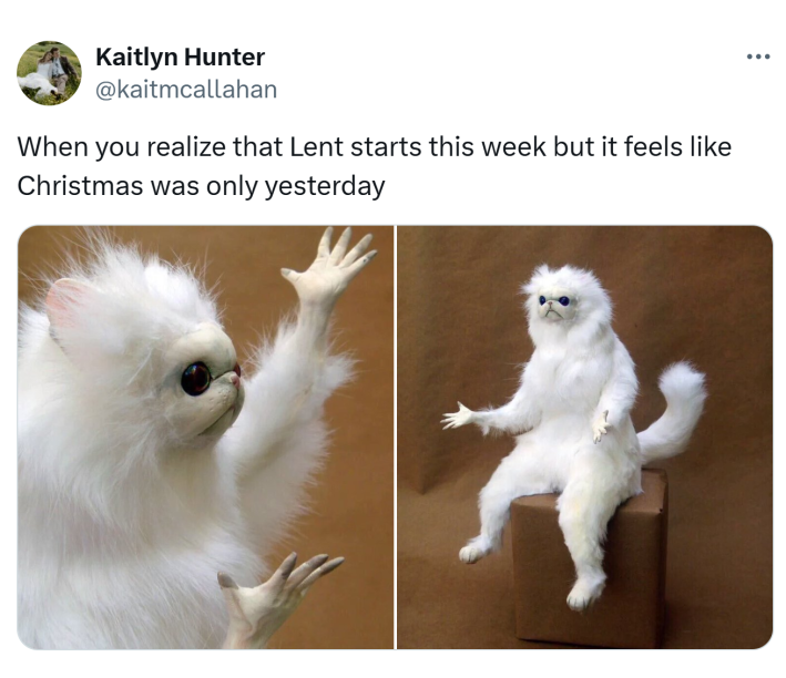 Lent meme, text reads, "When you realize that Lent starts this week but it feels like Christmas was only yesterday" with movable cat statue giving a "WTF" pose.