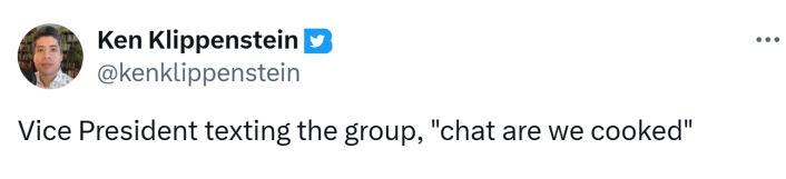 SignalGate meme, text reads, "Vice President texting the group, 'chat are we cooked'"