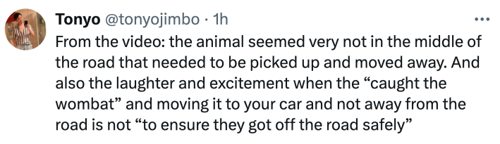 Twitter comment about the Sam Jones wombat incident, text reads, "From the video: the animal seemed very not in the middle of the road that needed to be picked up and moved away. And also the laughter and excitement when the 'caught the wombat' and moving it to your car and not away from the road is not 'to ensure they got off the road safely'"