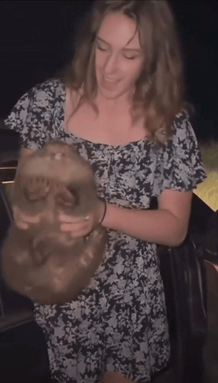 Influencer Sam Jones holding a distressed baby wombat.