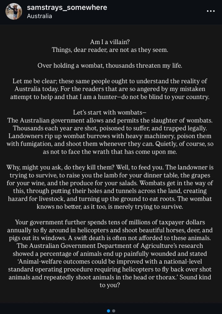 Sam Jones's press release about her wombat joey incident.