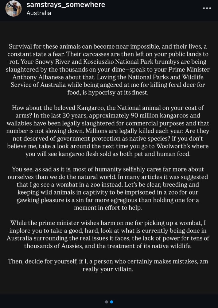 Sam Jones's press release about her wombat joey incident.