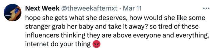 Twitter comment about the Sam Jones wombat incident, text reads, "hope she gets what she deserves, how would she like some stranger grab her baby and take it away? so tired of these influencers thinking they are above everyone and everything, internet do your thing (angry emoji)"