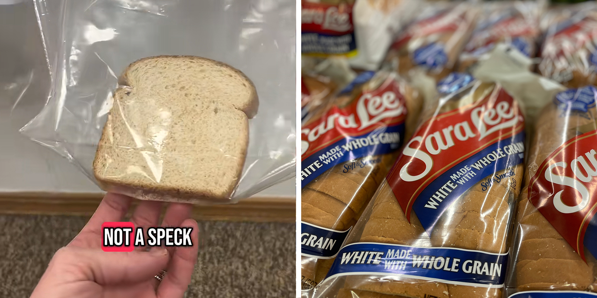 Piece of bread in sandwich bag being held up by hand with text that reads: "Not a speck" on left. Sara Lee bags of bread on right.