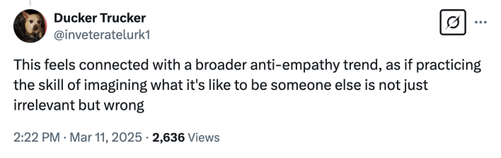 self-insert main character