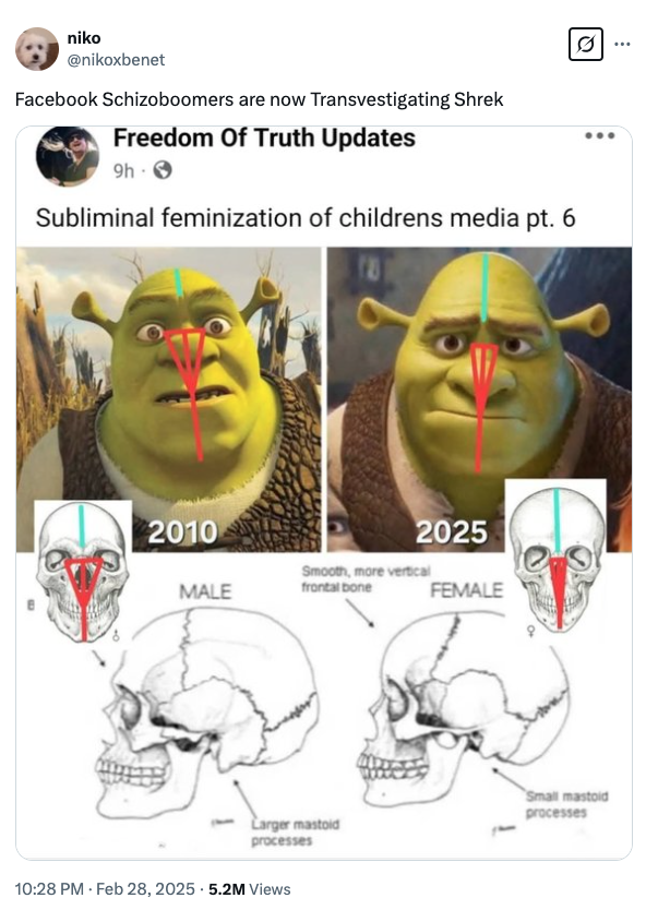 Screenshot from X of discussion about shrek transgender transvestigation