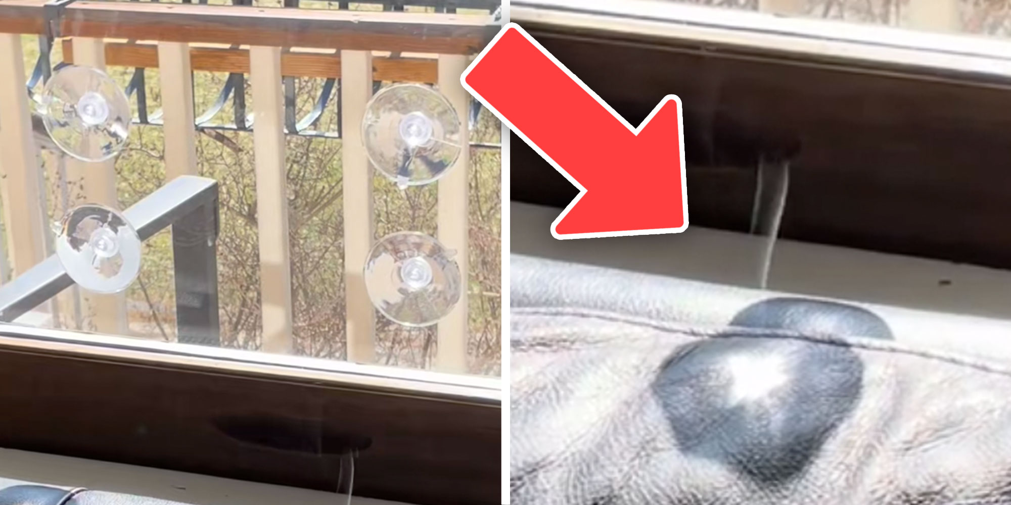 Screenshot of Tiktok user @tingtangwalla's window with suction cups; Screenshot of a stream of smoke coming from @tingtangwalla's couch.