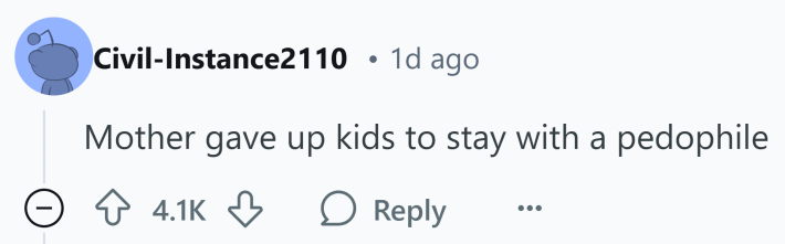Reddit comment that reads, "Mother gave up kids to stay with a pedophile"