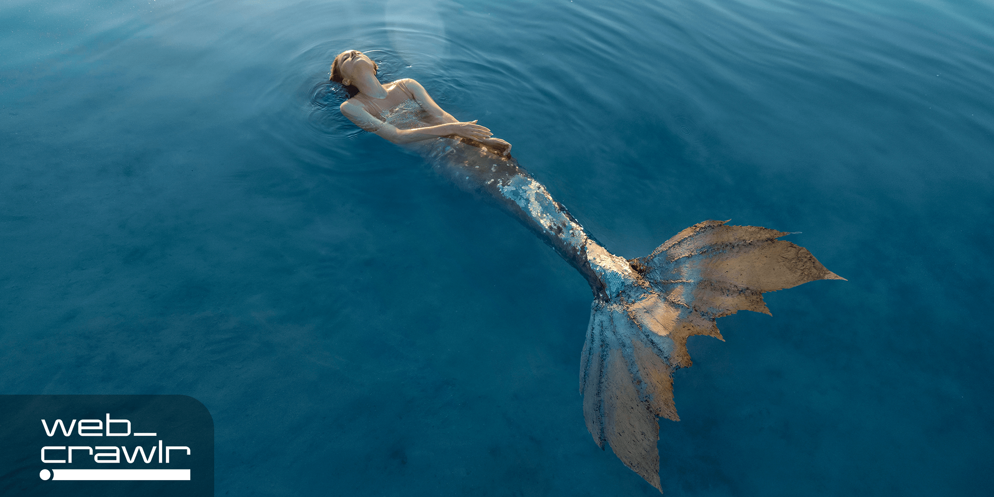 A mermaid. The Daily Dot newsletter web_crawlr logo is in the bottom left corner.