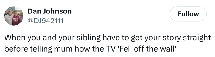 "When you and your sibling have to get your story straight before telling mum how the TV 'Fell off the wall'"