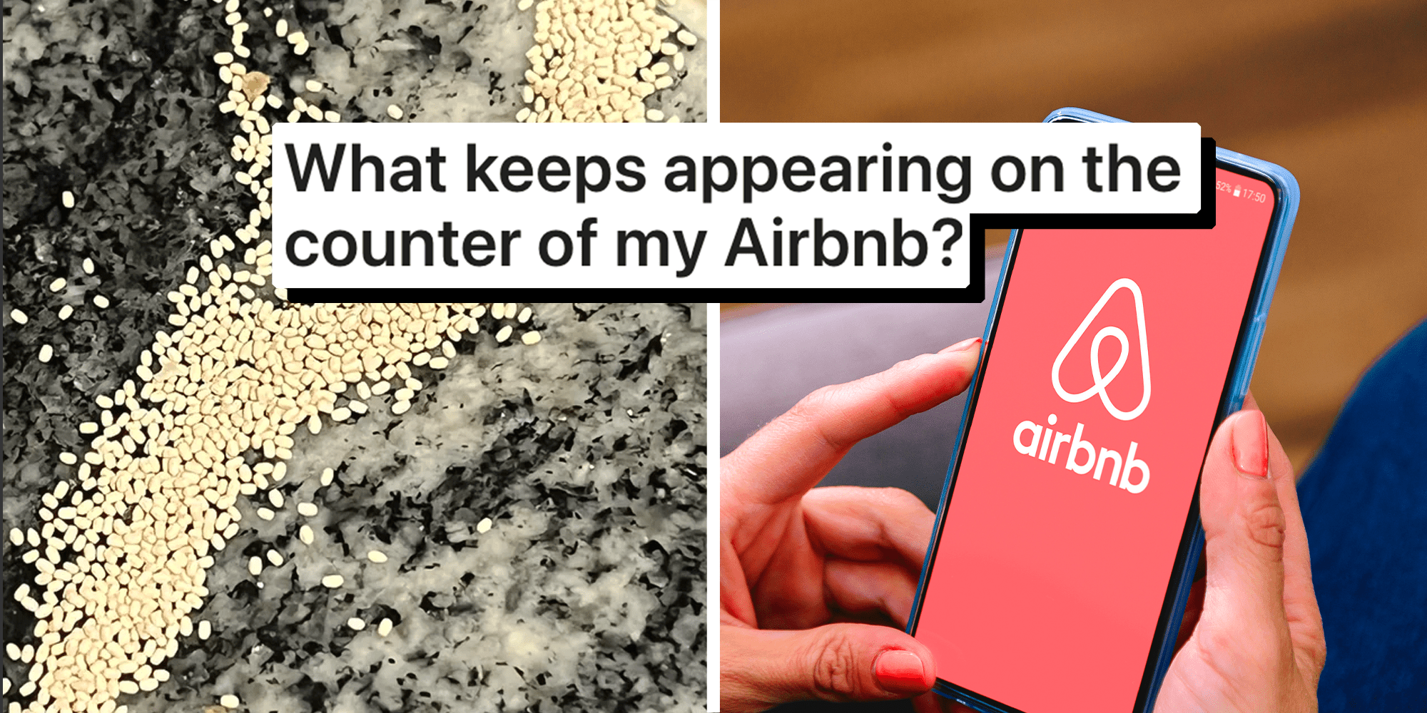 Women confused, as she finds numerous white seed appear on her Airbnb rented house counter, asks for advice