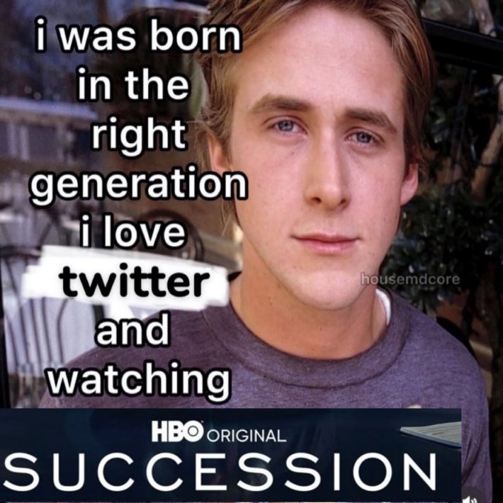 "I was born in the right generation" meme with the Succession logo.