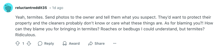 Comment urging user to go to owner