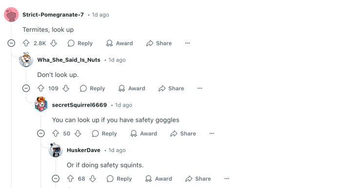 Commenters calling out OP's problem as termites