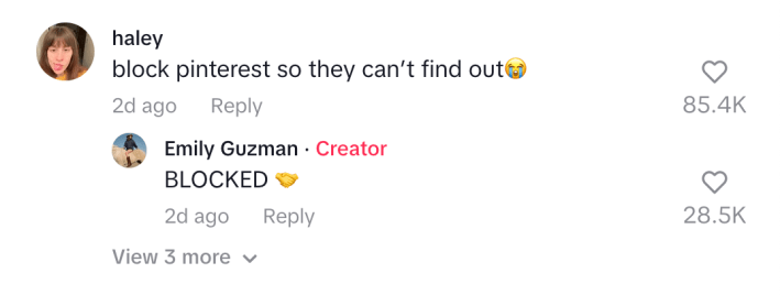 Tiktok comment about Pinterest finding out about hack