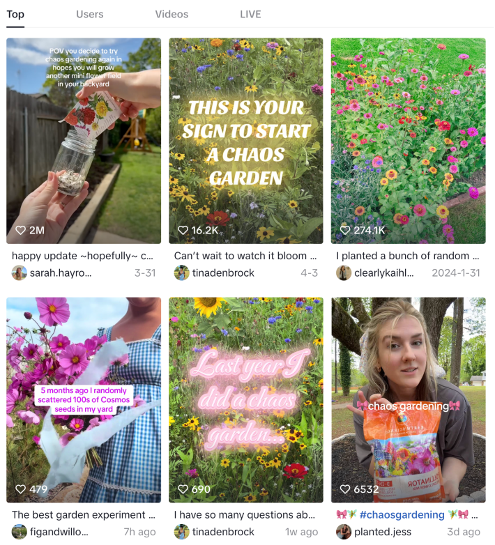 Tiktok front page of Chaos Garden trend