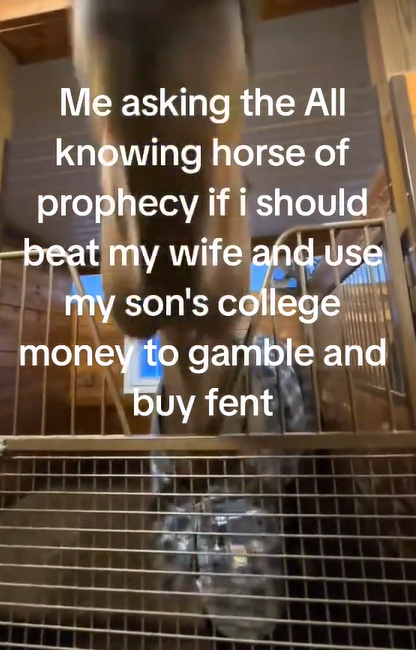 Screenshot from a TikTok video discussing bjork horse meme