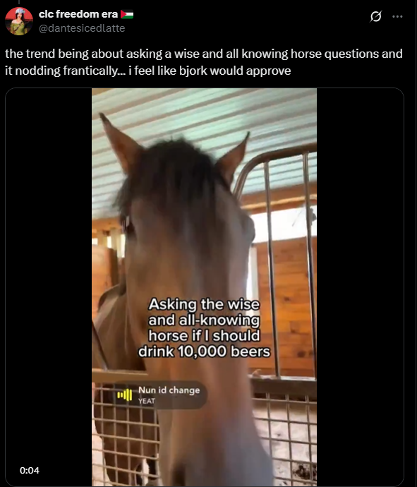 Screenshot from an X post discussing bjork horse meme