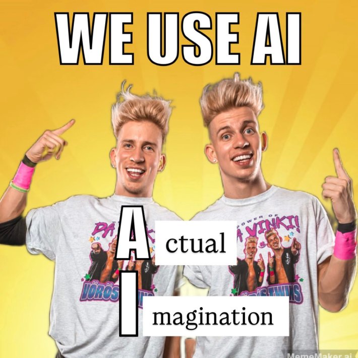 Actual Imagination meme featuring the Da Vinki twins.