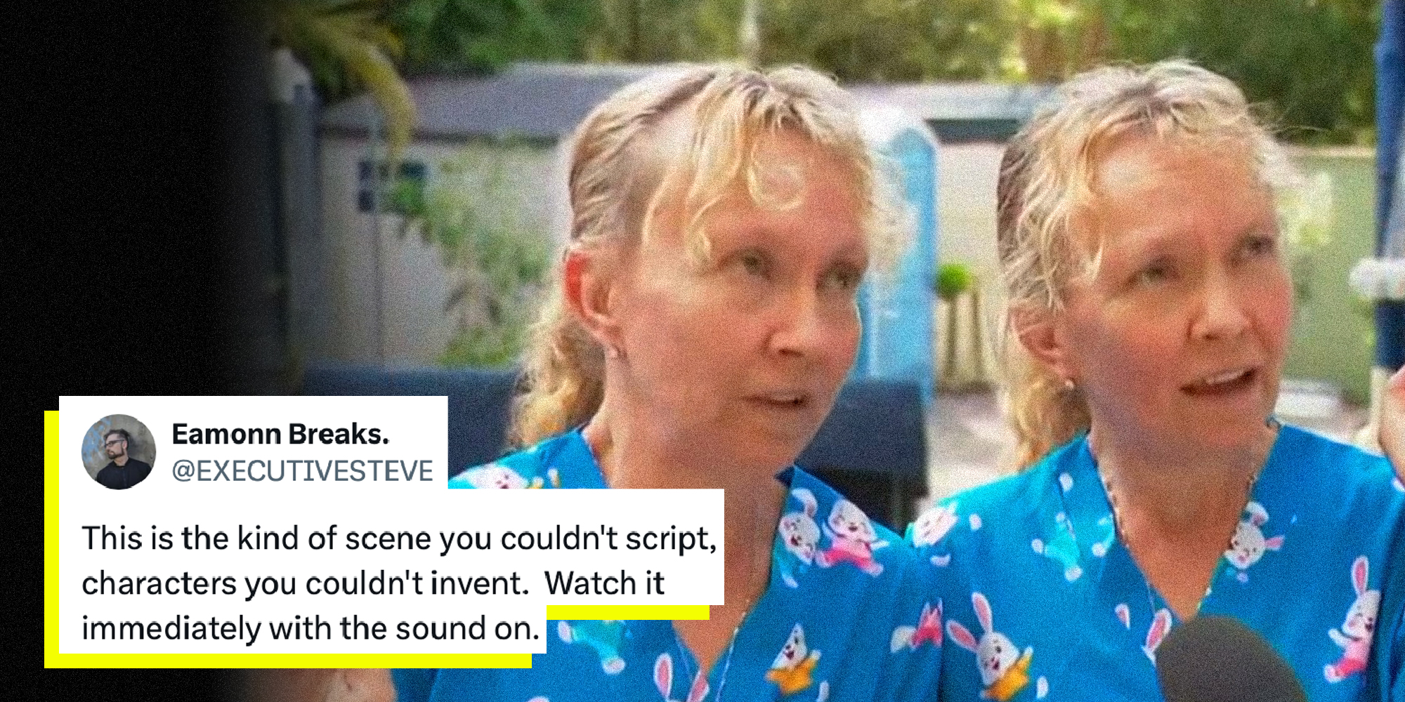 Image of the twins talking to a reporter with a tweet overlaid.