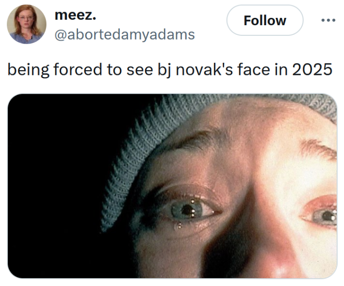 Tweet reading "being forced to see bj novak's face in 2025" with a screenshot from The Blair Witch Project.