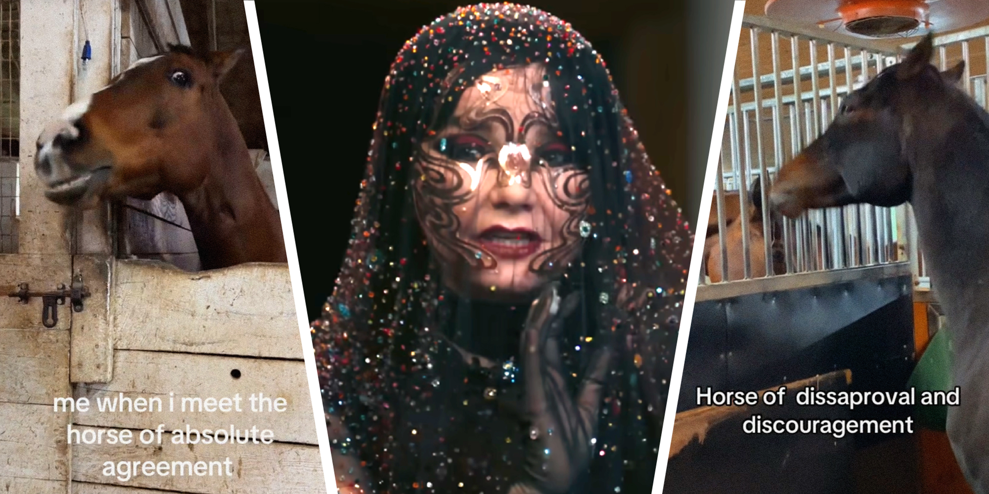 3 panel image of horse memes on the side and a veil-covered Bjork in the middle.