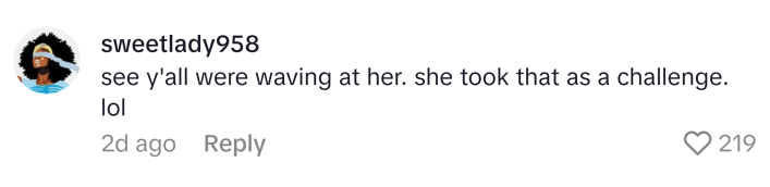 TikTok comment reads, "see y'all were waving at her. she took that as a challenge. lol"