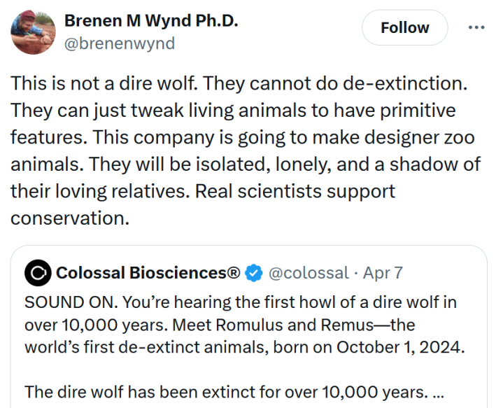 Tweet reading "This is not a dire wolf. They cannot do de-extinction. They can just tweak living animals to have primitive features. This company is going to make designer zoo animals. They will be isolated, lonely, and a shadow of their loving relatives. Real scientists support conservation."