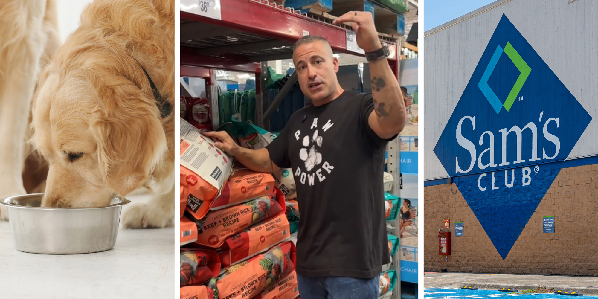3 panel image: a dog eating, a person in a warehouse explainiing, the exterior of a Sam's Club store.