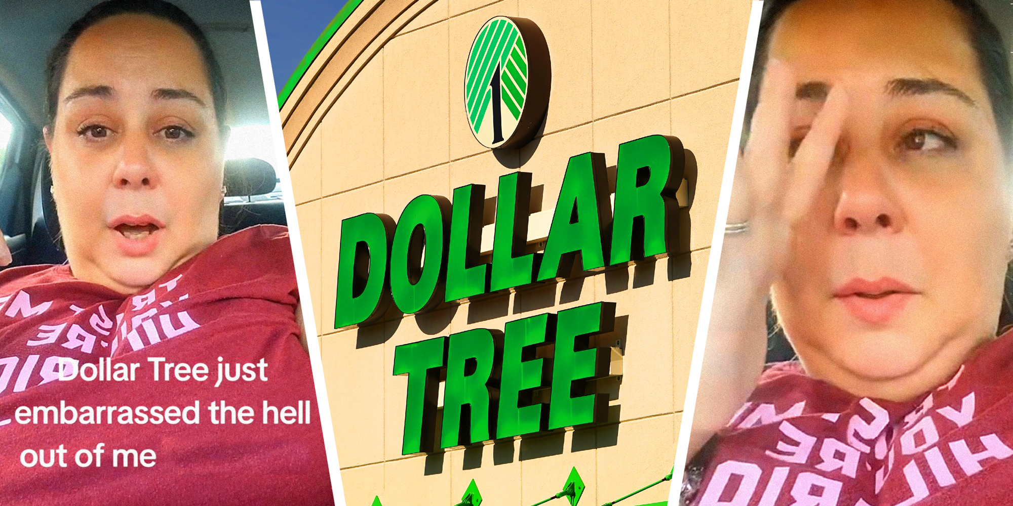 3 panel image: on the sides a person explains and in the middle is a Dollar Tree store. Text over: Dollar Tree just embarrassed the hell out of me