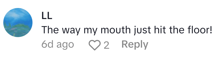 TikTok comment responding to Every Day With Babs misprint that says, "The way my mouth just hit the floor!"