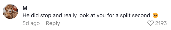 TikTok comment that reads, "He did stop and really look at you for a split second (plead emoji)"