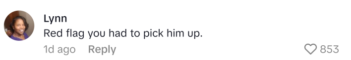 TikTok comment, text reads, "Red flag you had to pick him up."