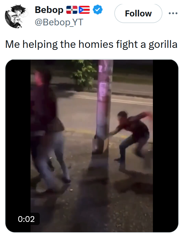 Gorilla vs 100 men meme with a clip of someone swinging and missing during a fight.