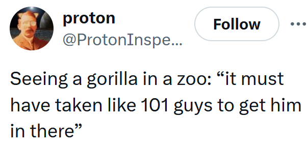 Tweet reading "Seeing a gorilla in a zoo: “it must have taken like 101 guys to get him in there”"