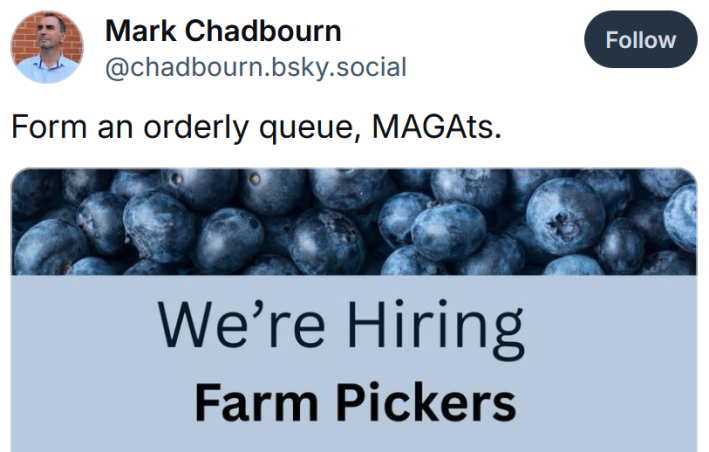 Bluesky post reading "Form an orderly queue, MAGAts" with a job ad for farm pickers.