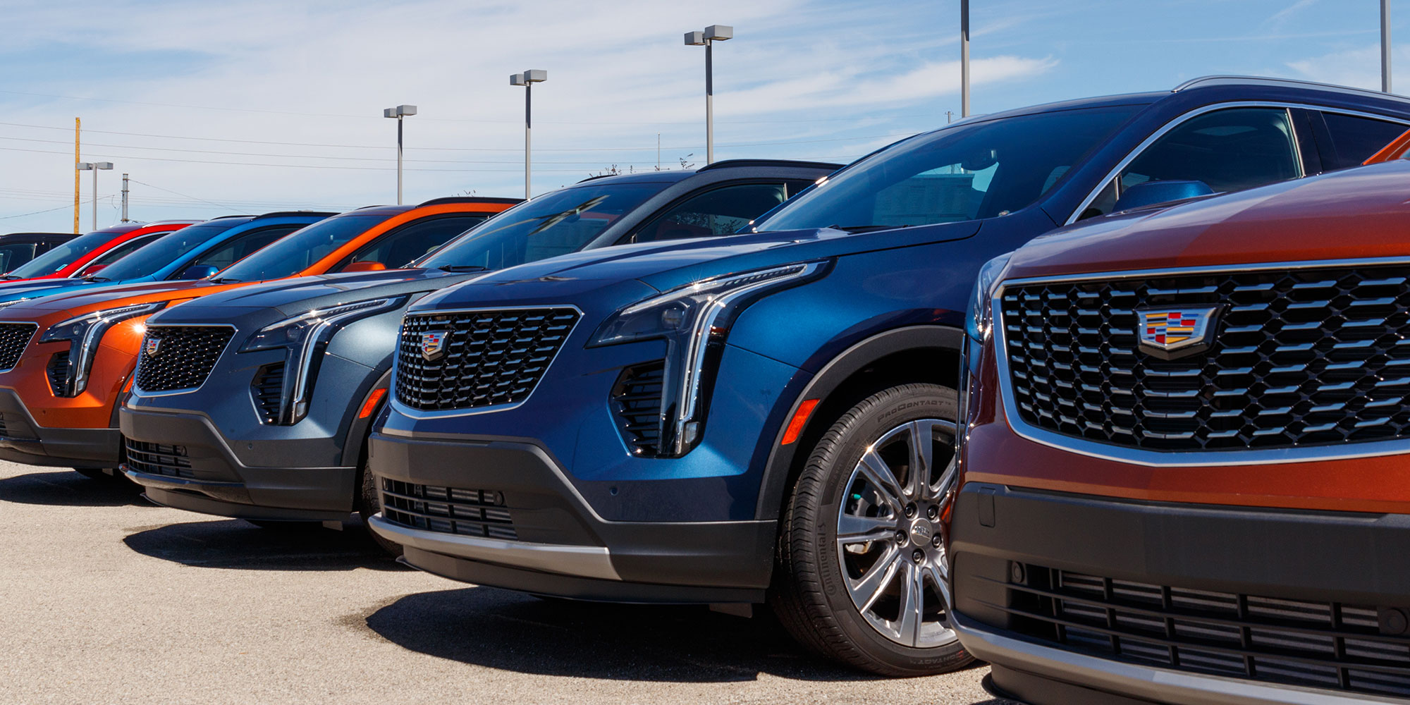 Photo of Cadillacs in a row.